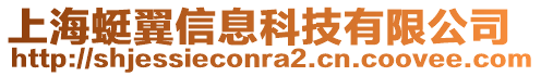 上海蜓翼信息科技有限公司