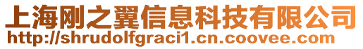 上海剛之翼信息科技有限公司