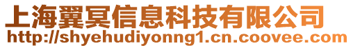 上海翼冥信息科技有限公司