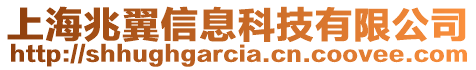 上海兆翼信息科技有限公司