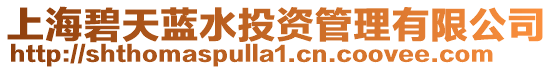 上海碧天藍水投資管理有限公司