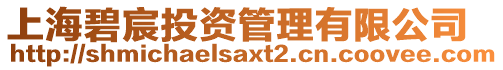 上海碧宸投資管理有限公司