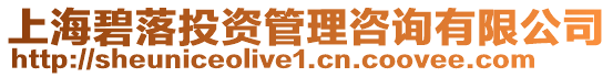上海碧落投資管理咨詢有限公司
