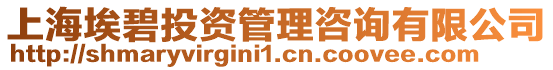 上海埃碧投資管理咨詢有限公司