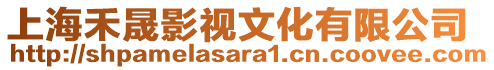 上海禾晟影視文化有限公司