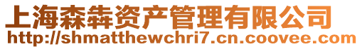 上海森犇資產管理有限公司