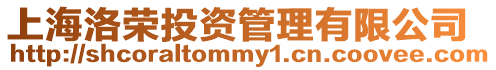 上海洛榮投資管理有限公司