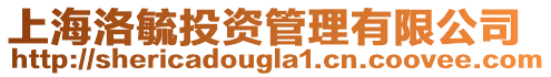 上海洛毓投資管理有限公司