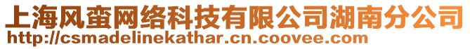 上海風(fēng)蠻網(wǎng)絡(luò)科技有限公司湖南分公司