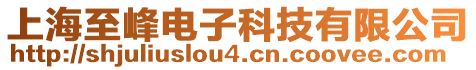 上海至峰電子科技有限公司