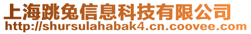 上海跳兔信息科技有限公司