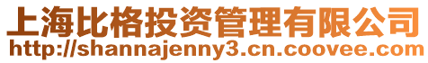 上海比格投資管理有限公司