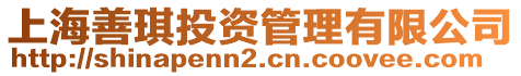 上海善琪投資管理有限公司