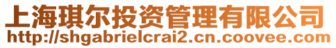 上海琪爾投資管理有限公司