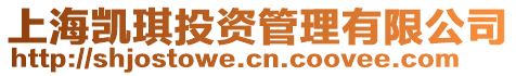 上海凱琪投資管理有限公司