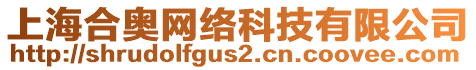 上海合奧網(wǎng)絡(luò)科技有限公司