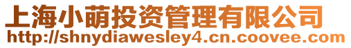 上海小萌投資管理有限公司