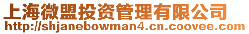 上海微盟投資管理有限公司