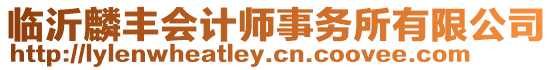 臨沂麟豐會(huì)計(jì)師事務(wù)所有限公司