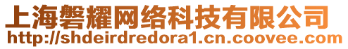 上海磐耀網絡科技有限公司