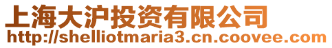 上海大滬投資有限公司