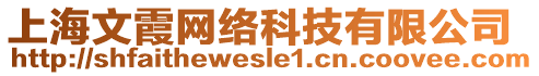 上海文霞網(wǎng)絡(luò)科技有限公司