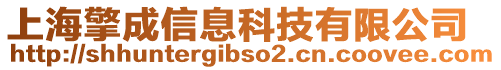 上海擎成信息科技有限公司