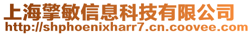 上海擎敏信息科技有限公司