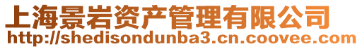 上海景巖資產管理有限公司