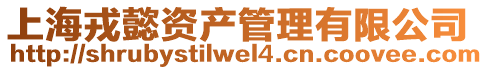 上海戎懿資產管理有限公司