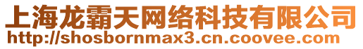 上海龍霸天網絡科技有限公司