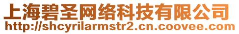 上海碧圣網(wǎng)絡(luò)科技有限公司