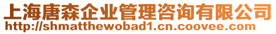 上海唐森企業(yè)管理咨詢有限公司