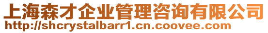 上海森才企業(yè)管理咨詢有限公司