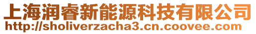 上海潤睿新能源科技有限公司