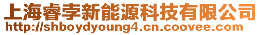 上海睿孛新能源科技有限公司