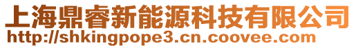 上海鼎睿新能源科技有限公司