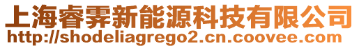 上海睿霽新能源科技有限公司