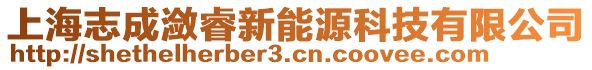 上海志成瀲睿新能源科技有限公司