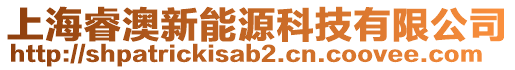 上海睿澳新能源科技有限公司