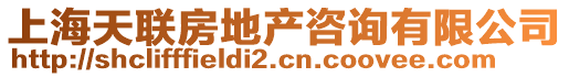 上海天聯(lián)房地產(chǎn)咨詢有限公司