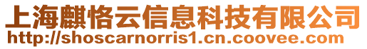 上海麒恪云信息科技有限公司