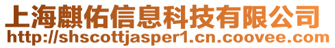 上海麒佑信息科技有限公司