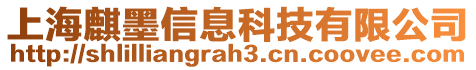 上海麒墨信息科技有限公司
