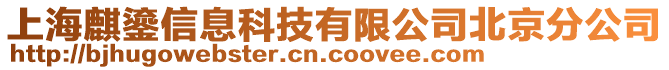 上海麒鎏信息科技有限公司北京分公司