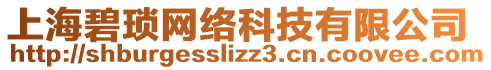 上海碧瑣網(wǎng)絡(luò)科技有限公司