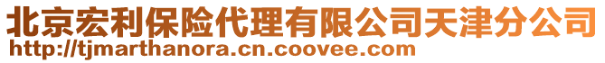 北京宏利保險代理有限公司天津分公司