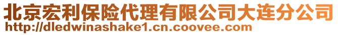 北京宏利保險代理有限公司大連分公司