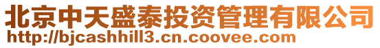 北京中天盛泰投資管理有限公司