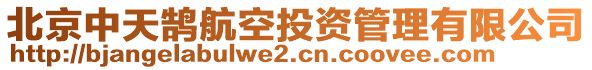 北京中天鵠航空投資管理有限公司